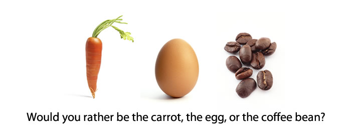Are You A Carrot Egg Or Coffee Bean Alan Wong S